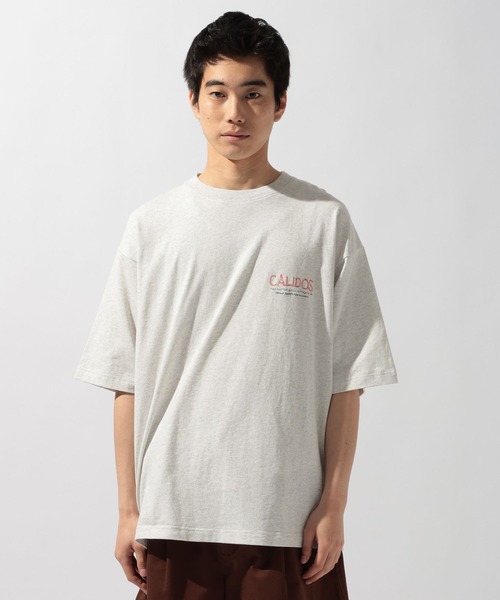 niko and...(ニコアンド)の「スーベニア刺繍Tシャツ(Tシャツ/カットソー・メンズ・グレー系その他/オフホワイト/杢グレー・LARGE/MEDIUM)」の14枚目の写真