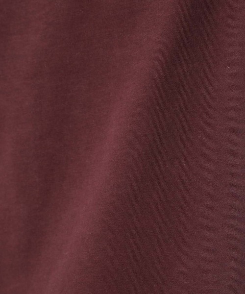 ADAM ET ROPE'(アダムエロペ)の「【30th】BRUSHED HIGH-TWIST COTTON T-SHIRT(Tシャツ/カットソー・メンズ・ホワイト/ブラック/ダークブラウン・M/L)」の8枚目の写真