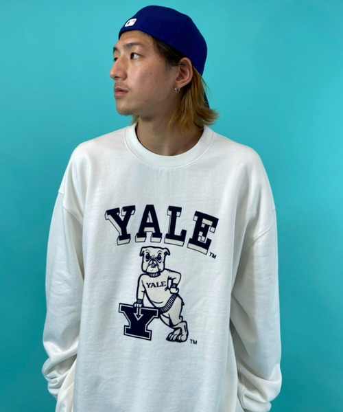 60s ヴィンテージ　スウェット　トレーナー　YALE フロッキー　ラグラン 60年代 Delta Chi オールドイングリッシュ フロッキー ラグラン