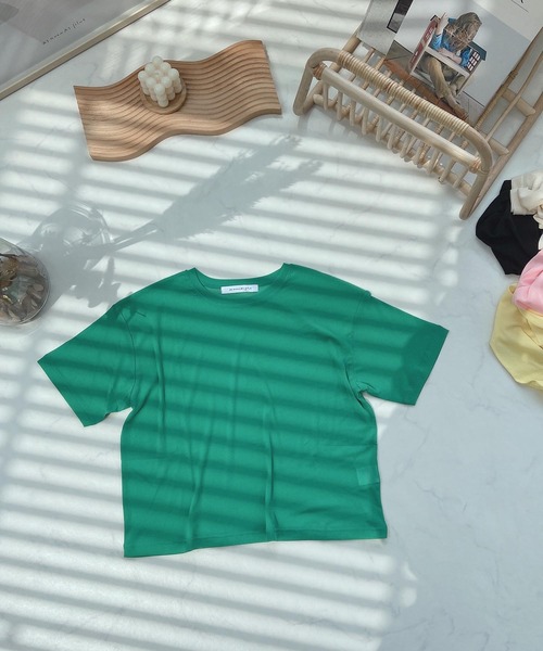 AS KNOW AS plus（アズノゥアズプラス）の「●パワーメッシュカラーTシャツ（Tシャツ/カットソー・レディース・キナリ/ブラック/グリーン/レモンイエロー/ライトピンク・FREE）」の18枚目の写真