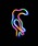 DULTONi_gj́uSOLAR NEON LIGHT/ \[[ lI CgiƖjvb}`
