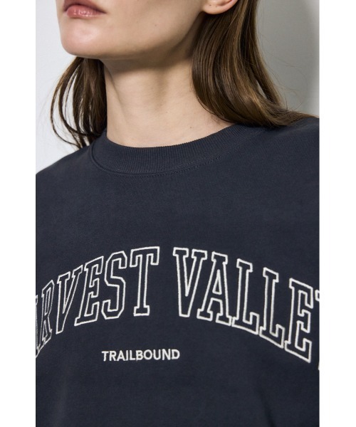 AZUL by moussy（アズールバイマウジー）の「カレッジロゴ スウェットトップス（スウェット・レディース・ライトブラック/グレー×ホワイト/ネイビー・MEDIUM/SMALL）」の4枚目の写真