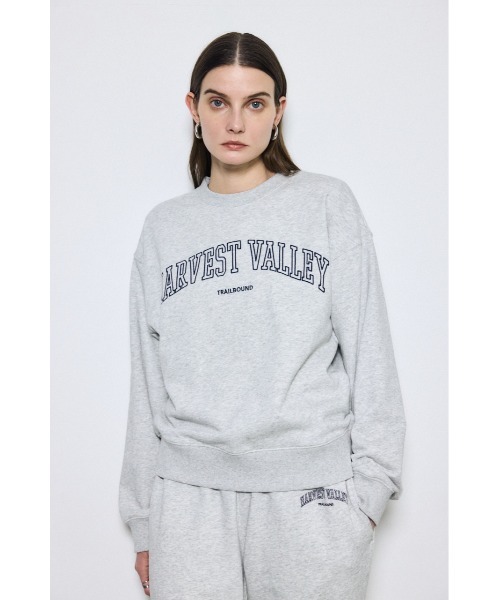 AZUL by moussy（アズールバイマウジー）の「カレッジロゴ スウェットトップス（スウェット・レディース・ライトブラック/グレー×ホワイト/ネイビー・MEDIUM/SMALL）」の7枚目の写真