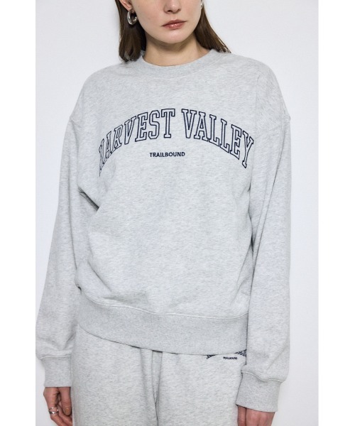 AZUL by moussy（アズールバイマウジー）の「カレッジロゴ スウェットトップス（スウェット・レディース・ライトブラック/グレー×ホワイト/ネイビー・MEDIUM/SMALL）」の9枚目の写真