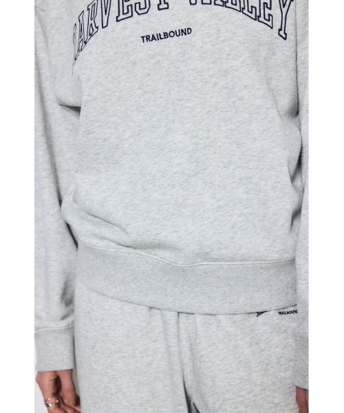 AZUL by moussy（アズールバイマウジー）の「カレッジロゴ スウェットトップス（スウェット・レディース・ライトブラック/グレー×ホワイト/ネイビー・MEDIUM/SMALL）」の15枚目の写真