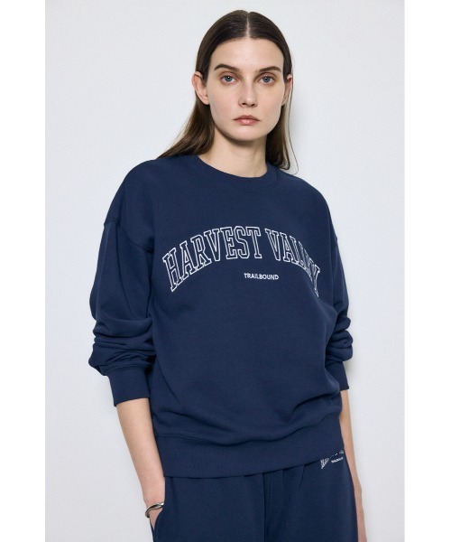 AZUL by moussy（アズールバイマウジー）の「カレッジロゴ スウェットトップス（スウェット・レディース・ライトブラック/グレー×ホワイト/ネイビー・MEDIUM/SMALL）」の17枚目の写真
