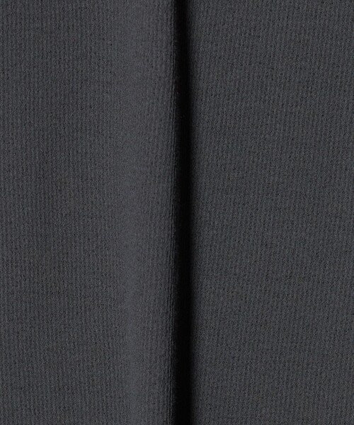green label relaxing(グリーンレーベルリラクシング)の「シアー リンガー Tシャツ(Tシャツ/カットソー・レディース・ダークグレー/ピンク/オフホワイト・FREE)」の20枚目の写真