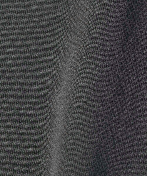 REMI RELIEF(レミレリーフ)の「レミレリーフ/REMI RELIEF SP加工裏毛クルー(Tシャツ/カットソー・メンズ・ブラック/グレー/マスタード・LARGE/MEDIUM/X-LARGE)」の8枚目の写真