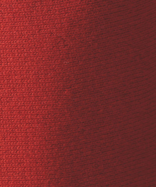 BEAMS LIGHTS(ビームスライツ)の「OUD / フリンジ ニット スカート(スカート・レディース・レッド/グリーン系その他5・ONE SIZE)」の12枚目の写真