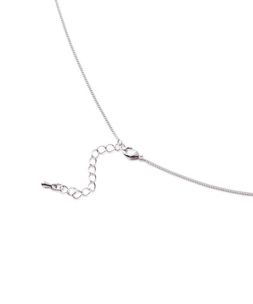 N.（N. Natural Beauty Basic）（エヌエヌナチュラルビューティーベーシック）の「オーバルポイントロングネックレス（ネックレス・レディース・シルバー/ゴールド・FREE）」の4枚目の写真