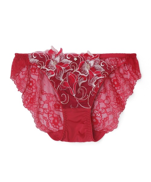 northerly（ノーザリー）の「エレガントコレクション2311バックレース