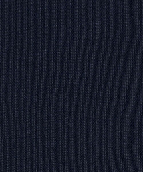 green label relaxing(グリーンレーベルリラクシング)の「シルケット ソリッド ドレスソックス(ソックス/靴下・メンズ・ダークブラウン/ダークグレー/ネイビー/ブラック・FREE)」の11枚目の写真