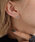 ear PAPILLONNERiCApslj́usAM[Ή/XeXtX[r[YsAXisAXipjjvbVo[