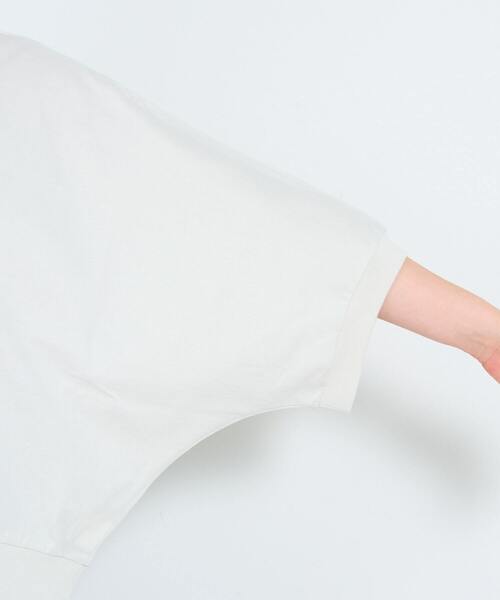 ADIEU TRISTESSE(アデュートリステス)の「60/2天竺Tシャツ(Tシャツ/カットソー・レディース・ブルーグレー/ストライプ/ライトグレー・FREE)」の22枚目の写真