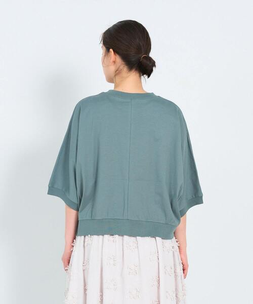 ADIEU TRISTESSE(アデュートリステス)の「60/2天竺Tシャツ(Tシャツ/カットソー・レディース・ブルーグレー/ストライプ/ライトグレー・FREE)」の5枚目の写真