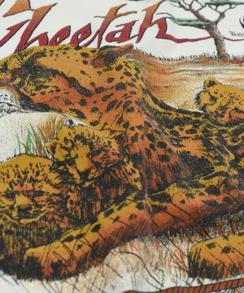 VINTAGE(ヴィンテージ)の「【USED】90’s JOSTENS “Cheetah” アニマル Tシャツ(Tシャツ/カットソー・メンズ・ホワイト・LARGE)」の3枚目の写真