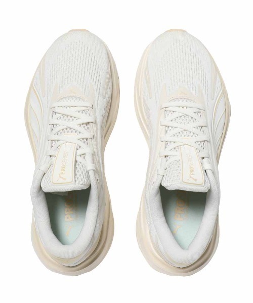アルペン限定モデル】プーマ PUMA マキシマ プロ MAXIMA PRO