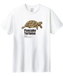 Moftique(モフティック) 半袖Tシャツ パンケーキリクガメ 亀 爬虫類 ペット アニマル プリント Tシャツ 半袖 トップス カットソー レディース 夏