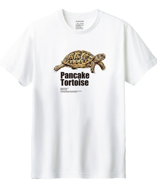 Moftique(モフティック)の「Moftique(モフティック) 半袖Tシャツ パンケーキリクガメ 亀 爬虫類 ペット アニマル プリント Tシャツ 半袖 トップス カットソー レディース 夏(Tシャツ/カットソー・レディース・ホワイト/ブラック・M/L)」の1枚目の写真