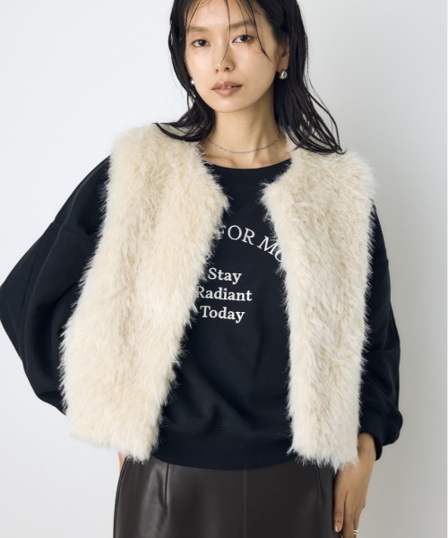 AZUL by moussy(アズールバイマウジー)の「フェイクファーベスト 秋服 冬服 無地 アニマル柄 ヒョウ柄 豹柄(ベスト・レディース・ベージュ系その他/グレー/ベージュ/アイボリー・FREE)」の1枚目の写真