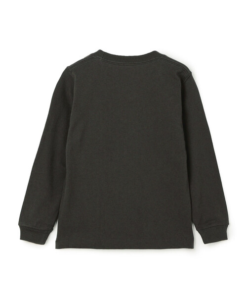 DANTON ダントン 長袖カットソー グリーン 楽天市場】【2025秋冬】ダントン DANTON ロングTシャツ #DT
