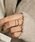 ear PAPILLONNERiCApslj́usAM[Ή/XeXt{[JbgOiOjvbS[h