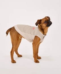 MANDARINE BROTHERS（マンダリンブラザーズ）の「ピステ/小型犬/M/MD/L（ペットウェア）」