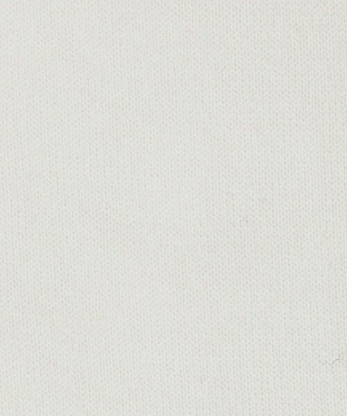 BLEU FORET（ブルーフォレ）の「＜BLEU FORET＞W/SI ソックス（ソックス/靴下・レディース・グレー系/ワイン/ブラック/ホワイト・36/38）」の12枚目の写真