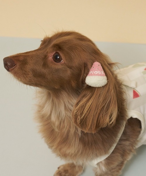 セール】【CAT&DOG】サマーモチーフヘアゴム（その他ペットグッズ