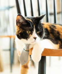 giraffe（ジラフ）の「【 ネクタイ専門店 giraffe 】 猫のためのネクタイ（トラベルベルトチップタイ）日本製（ネクタイ）」