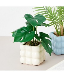 Francfranc（フランフラン）の「ポット付きアートグリーン モンステラ（インテリア雑貨）」