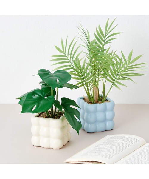 Francfranc 植物モンステラのインテリアアート ポット付きアートグリーン モンステラ（インテリア雑貨）｜Francfranc