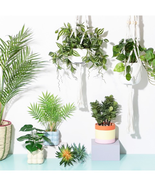 ポット付きアートグリーン モンステラ（インテリア雑貨）｜Francfranc