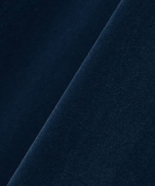 CAROLINA GLASER（カロリナ グレイサー）の「ベロア ショルダーリボン ワンピース（ワンピース・レディース・ブルー系その他/ブラック・SMALL/MEDIUM）」の14枚目の写真