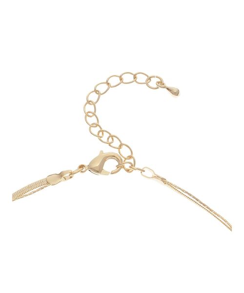 EVRIS（エヴリス）の「COIN CHARM MOTIF 2連 ネックレス（ネックレス・レディース・シルバー/ゴールド・FREE）」の13枚目の写真