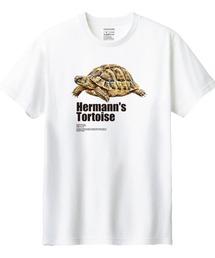 Moftique(モフティック) 半袖Tシャツ ヘルマンリクガメ 亀 爬虫類 ペット アニマル プリント Tシャツ 半袖 トップス カットソー レディース 夏