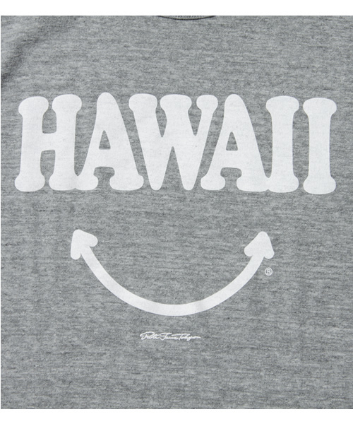 BEAMS T（ビームスティー）の「BEAMS T / Hawaii Tee（Tシャツ/カットソー・メンズ・オフホワイト/グレー・X-SMALL/SMALL/MEDIUM/LARGE）」の4枚目の写真