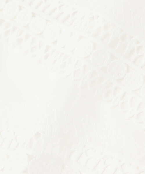 N.(N. Natural Beauty Basic)(エヌエヌナチュラルビューティーベーシック)の「ビックカラーレース付け襟(付け襟・レディース・ホワイト・フリ-)」の9枚目の写真