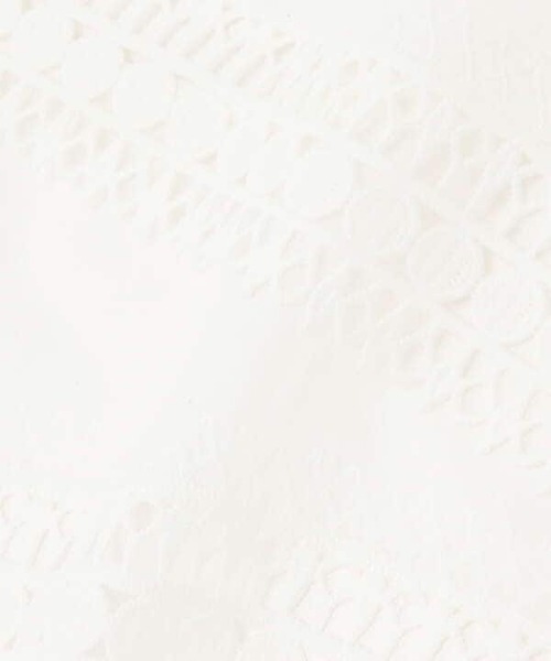 N.(N. Natural Beauty Basic)(エヌエヌナチュラルビューティーベーシック)の「ビックカラーレース付け襟(付け襟・レディース・ホワイト・フリ-)」の5枚目の写真