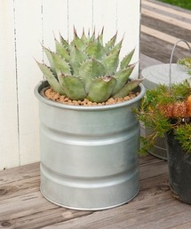 DULTON(_g)GALVANIZED TANK S/ KoiCYh ^N S(t[x[X)