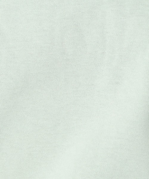 Grand PARK（グランドパーク）の「日本製 デラヴェ天竺 半袖Ｔシャツ　シーズンカラー（Tシャツ/カットソー・レディース・ベージュ/ライトグリーン/ベビーピンク・FREE）」の15枚目の写真