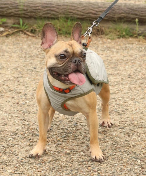 KRIFF MAYER（クリフメイヤー）の「スーベニア刺繍キルトJK（ペットウェア・レディース・キャメル/ダークブラウン/オフホワイト/グレー/パープル/ブラック/ピンクベージュ/オリーブ・SMALL/MEDIUM/LARGE/X-LARGE）」の14枚目の写真