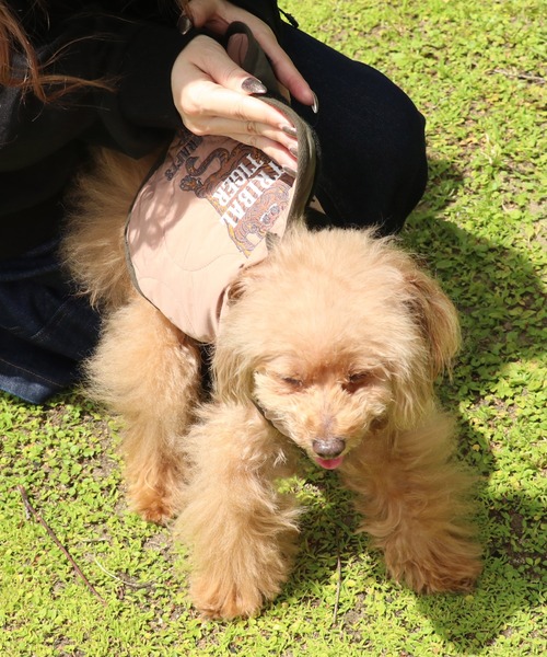 KRIFF MAYER（クリフメイヤー）の「スーベニア刺繍キルトJK（ペットウェア・レディース・キャメル/ダークブラウン/オフホワイト/グレー/パープル/ブラック/ピンクベージュ/オリーブ・SMALL/MEDIUM/LARGE/X-LARGE）」の18枚目の写真