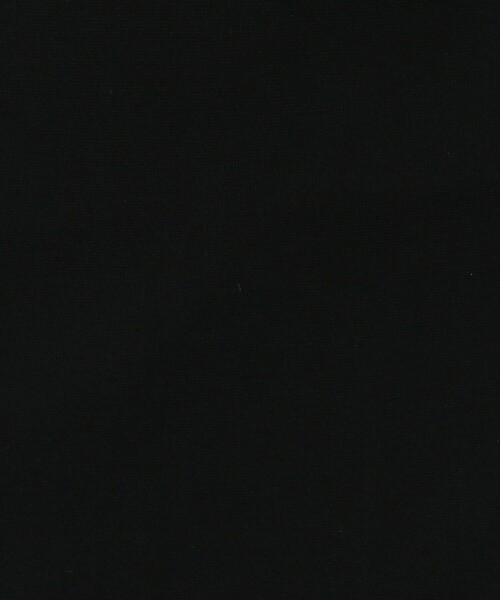 BEAUTY&YOUTH UNITED ARROWS(ビューティーアンドユースユナイテッドアローズ)の「20デニール カラータイツ(タイツ/ストッキング・レディース・ブラック/クリーム/ホワイト・FREE)」の9枚目の写真