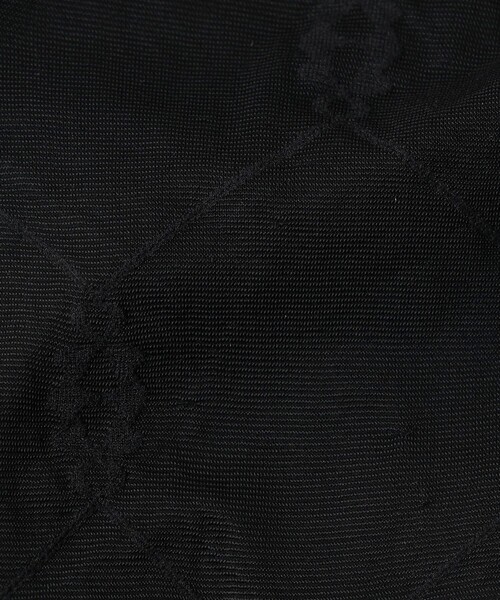 ODETTE E ODILE（オデットエオディール）の「＜girardi＞SEETHROUGH ソックス（ソックス/靴下・レディース・ブラック・FREE）」の2枚目の写真