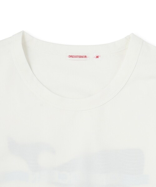 DRESSTERIOR(ドレステリア)の「【クイックドライ】ONE OCEAN サステナブルロンT(Tシャツ/カットソー・メンズ・ホワイト/グレー/ブラック・90/91/92)」の17枚目の写真