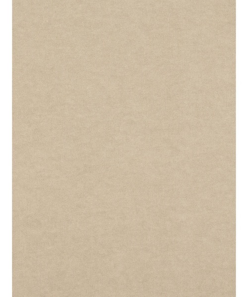 Levi's（リーバイス）の「Levi's/リーバイス ヘビーウェイト ルーズ Tシャツ（Tシャツ/カットソー・メンズ・ベージュ・XL/L/M/S）」の7枚目の写真