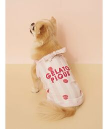 gelato pique | 【CAT&DOG】【接触冷感】 ストライプ柄Coolingプルオーバー(ペットウェア)