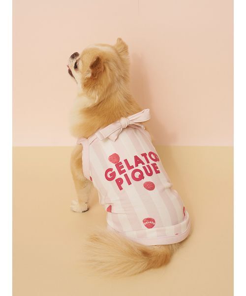 GELATO PIQUE 犬用ハウス ストライプ CAT&DOG】【接触冷感】 ストライプ柄Coolingプルオーバー（ペット