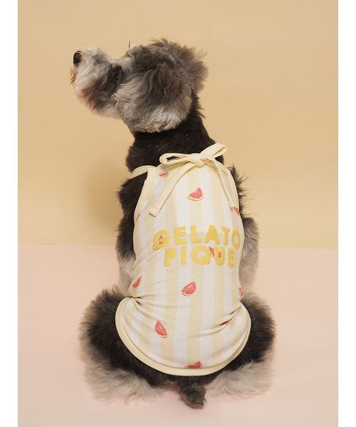gelato pique（ジェラートピケ）の「【CAT&DOG】【接触冷感】 ストライプ柄Coolingプルオーバー（ペットウェア・レディース・ブルー/グリーン/ピンク/イエロー・S/M/L）」の4枚目の写真